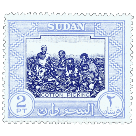 Sudan Cotton Picking Sticker
