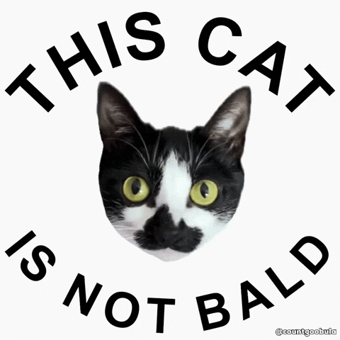 Rotating Meow Meow GIF