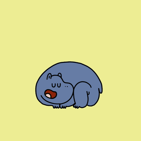 Pygmy Hippo GIF by CsaK