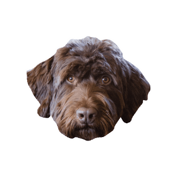 Nichols Painting Sticker
