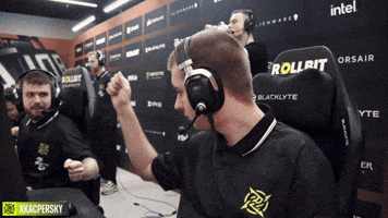Nip Counter-Strike GIF by Ninjas In Pyjamas