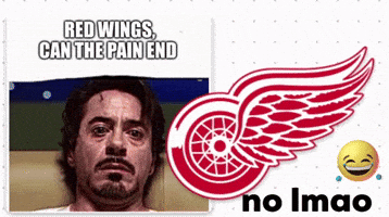 Red Wings Hockey GIF