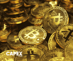 Capex crypto bitcoin trading capex GIF