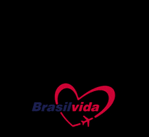 Brasil Vida Taxi Aereo GIF