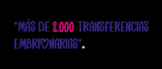 SGF GIF