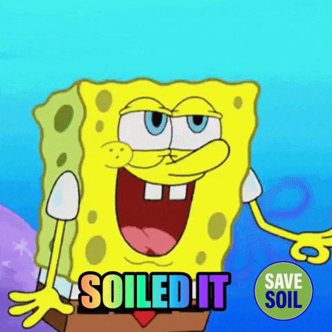 Happy Sponge Bob GIF by Save Soil