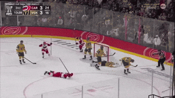 Carolina Hurricanes Staal GIF