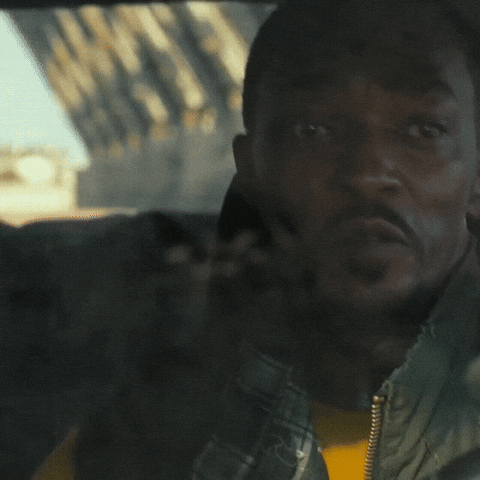 Anthony Mackie GIF