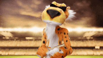 Fan Yourself Chester Cheetah GIF by Cheetos