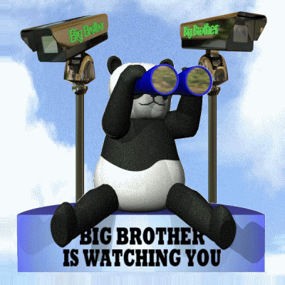 big brother meaning, definitions, synonyms