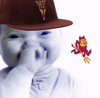 Asu GIF