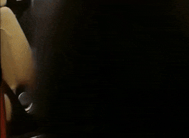 Fur GIF