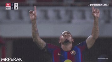 Man City Brazil GIF