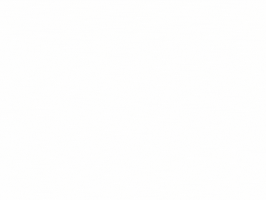 INEDIB GIF