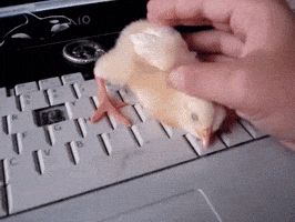 200.gif?cid=fc005b0841c261565157196c49631e37c1742beb6546c782&rid=200.gif&ct=g