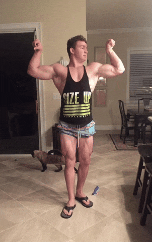 Flamingo Albertsstuff GIF