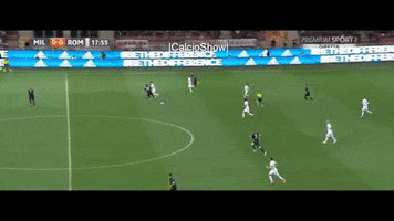 tancredinho  GIF