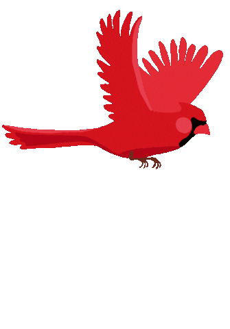 Flying Red Bird Sticker by Lamar University - Find & Share ...