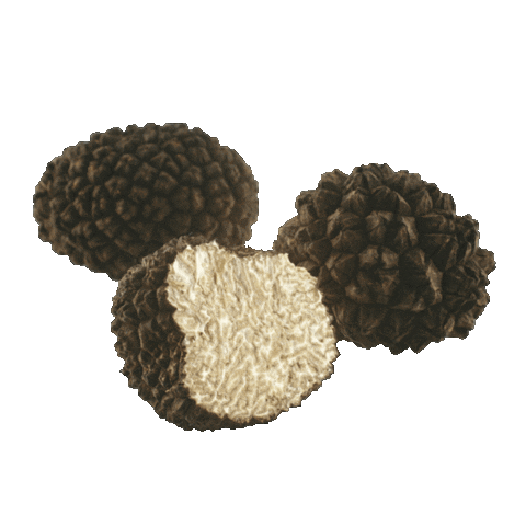 Tryffel Sticker by Werners Gourmetservice AB