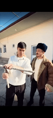Qamalib GIF