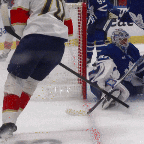 Nhl Celebrate GIF by Florida Panthers