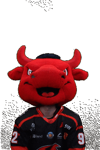 Happy Hockey Sticker by Saale Bulls