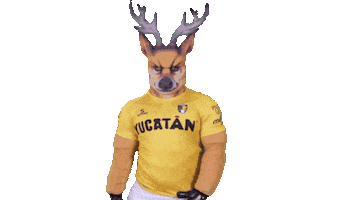 Yucatan Sticker by Venados FC