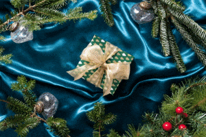 GIF by nixit