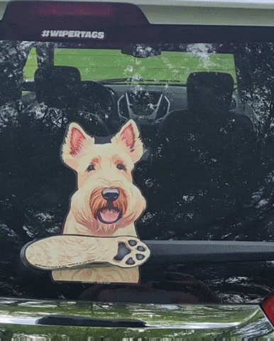 GIF by WiperTags Wiper Covers