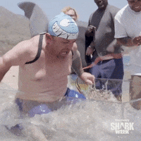 Shark Fin Omg GIF by Shark Week Shark Fin Omg GIF by Shark Week