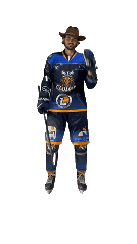 Celebration Goal Sticker by Hockey Club Châlonnais