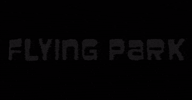 GIF by FLYING PARK