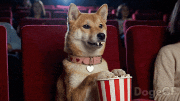 Shiba Inu Popcorn GIF by DogeGF