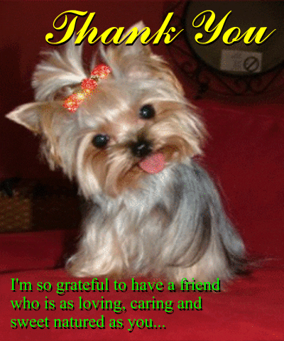 thank you notes