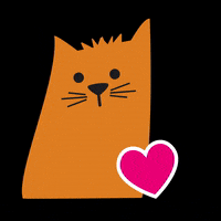 Cat Love GIF by Mostaza PetShop