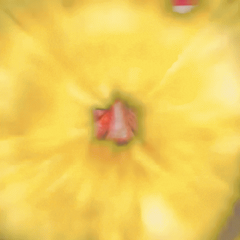 Jankeyframes GIF