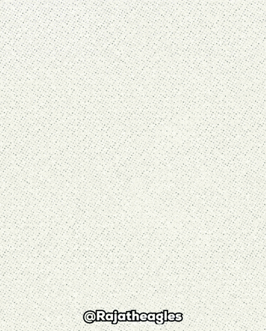 Raja Casablanca Jordan GIF