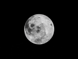 Full Moon GIF by Barbara Pozzi