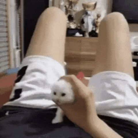 Naughty Girl Home GIF