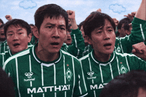 Werder Bremen GIF
