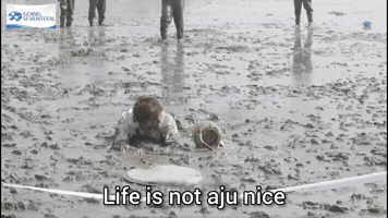 Lee Chan Dino GIF