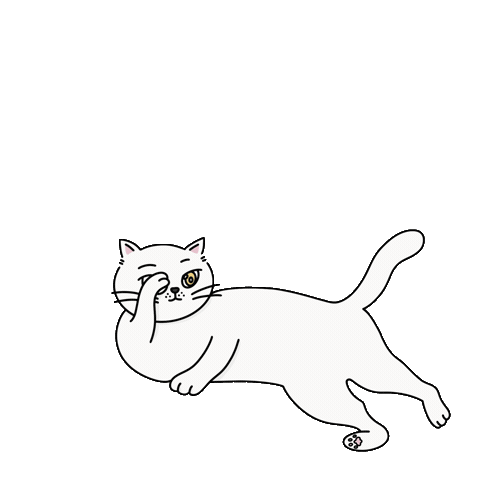 Cat Sticker