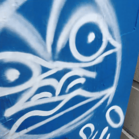 Street Art Graffiti GIF