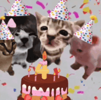 Celebrate Happy Birthday GIF