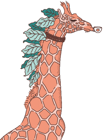 Somaho Speciality Coffee Sticker