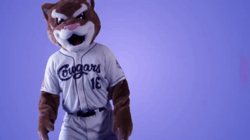 hotline bling dancing GIF by Kane County Cougars