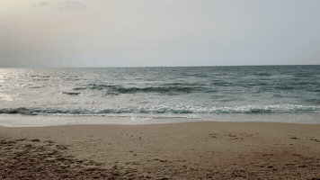 Beach GIF