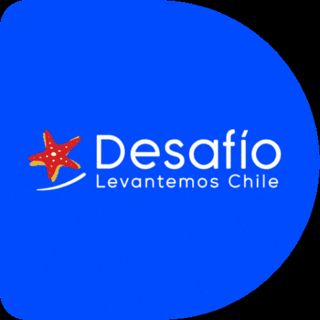 Desafio GIF by Desafío Levantemos Chile