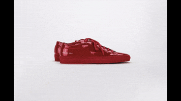edellegettings  GIF
