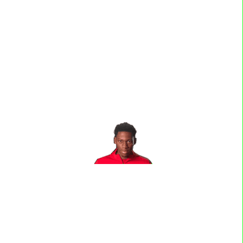 Sticker by louisrielsoccer